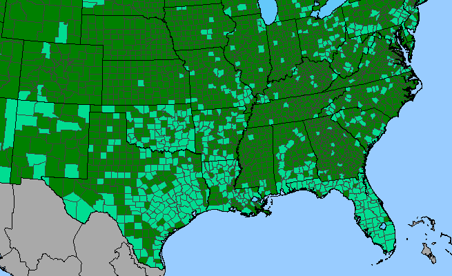 The range of Oxalis corniculata